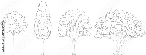Set of 4 Outline Tree Illustrations Vector