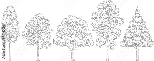 Set of 5 Outline Tree Illustrations Vector