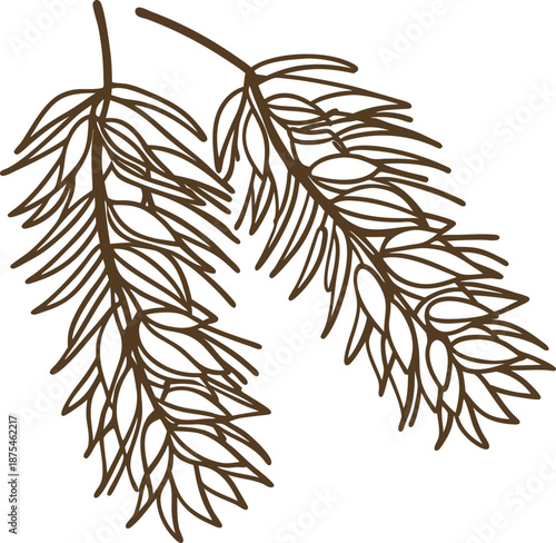 brown botanical twigs with long narrow leaves line art illustration