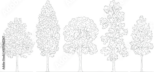 Set of 5 Outline Tree Vector Illustrations