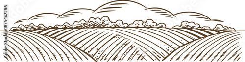 Rolling countryside with cultivated fields and distant trees under cloudy sky in rustic sketch