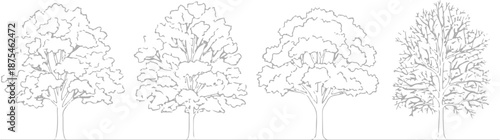 Set of 4 Outline Tree Illustrations Vector