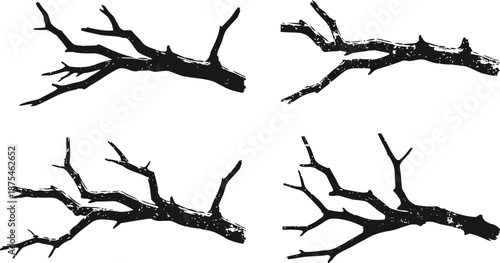 Set of four isolated detailed dry tree branches with rough texture in black silhouette
