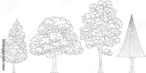 Set of 4 Hand-Drawn Tree Outline Illustrations Vector