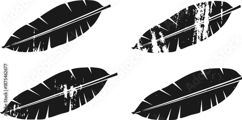 black banana leaves with torn textures and distressed patterns on white background
