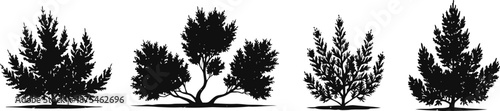 Silhouettes of various bushy and leafy plants with dense foliage and distinct shapes