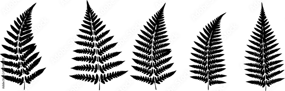 Fototapeta premium black silhouette of fern leaves set in natural pattern collection on white background