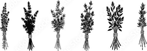 set of six different tied fresh herb bunches silhouettes in black and white