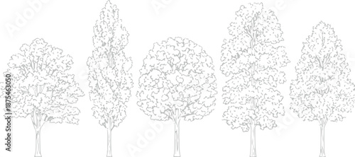 Set of 5 Outline Tree Icons Vector Illustration