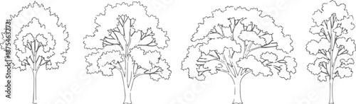 Set of 4 Outline Tree Icons Vector