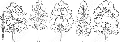 Set of 5 Outline Tree Icons Vector Illustration