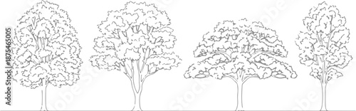Set of 4 Outline Tree Icons Vector