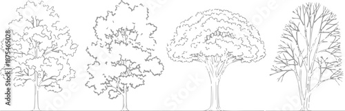 Set of 4 Outline Tree Illustrations Vector