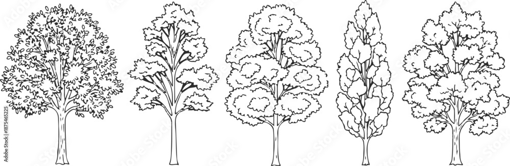 Fototapeta premium Set of 5 Outline Tree Illustrations Vector