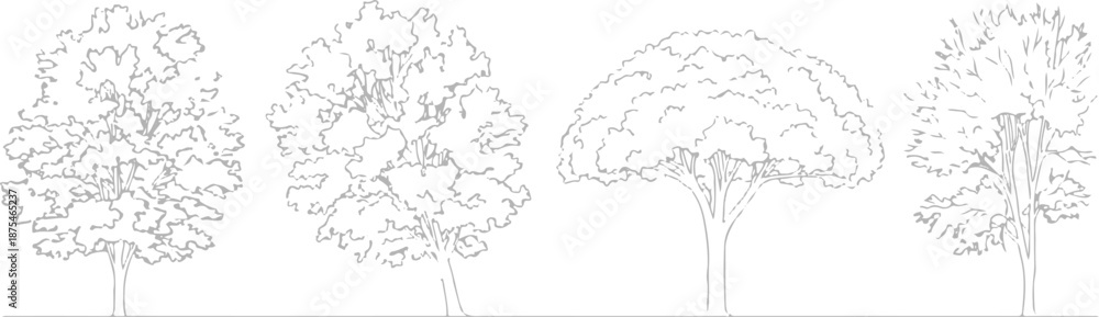 Fototapeta premium Set of 4 Outline Tree Illustrations Vector