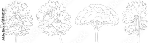 Set of 4 Outline Tree Illustrations Vector