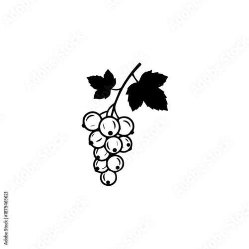 Illustration of a grapes cluster isolated on white background, Vector