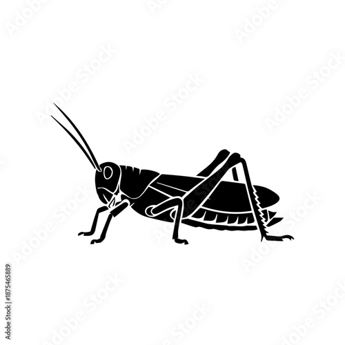 Black and white grasshopper illustration isolated on white background, Vector