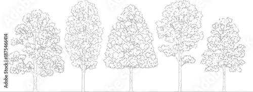 Set of 5 Outline Tree Vector Illustrations