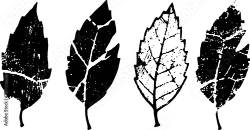 Black grunge leaves silhouettes with textured distressed effects on white background