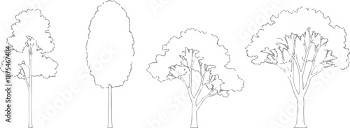Set of 4 Outline Tree Vector Illustrations