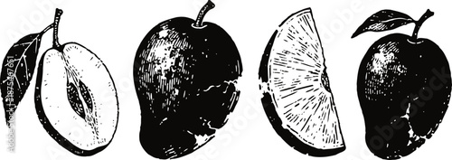 hand drawn vintage black and white plums with leaves and sliced pieces illustration