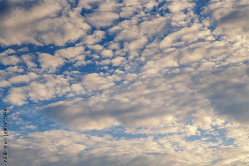 Obraz na plátně Close-up of white cirrocumulus clouds filling the blue daytime sky with warm sunset sunlight