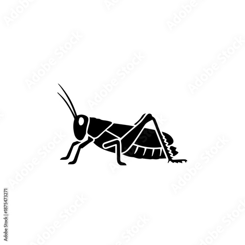 Black and white grasshopper isolated on white background, Vector