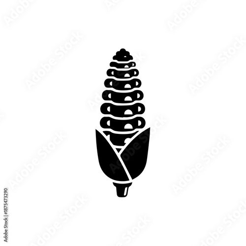 Illustrated corn cob isolated on white background, Vector