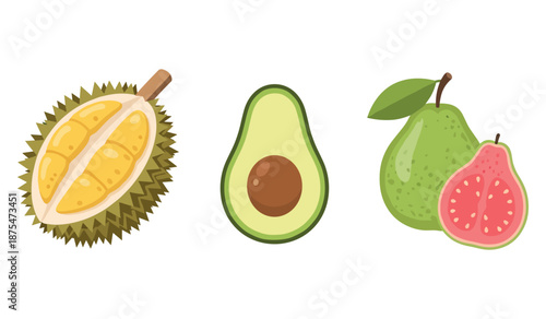 Tropical fruits illustration: durian, avocado, pear, and guava on white background