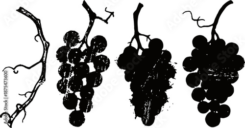 Silhouettes of grape clusters and vine branches with textured detail on white background