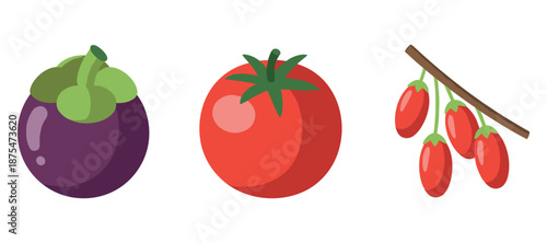 Colorful fresh produce: mangosteen, tomato, goji berry branch illustration