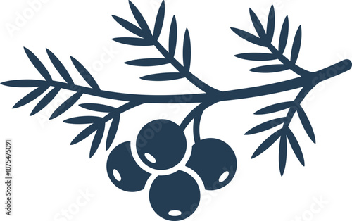Evergreen juniper branch with berries. Natural botanic plant element icon in solid dark blue color for design, card, background, illustration