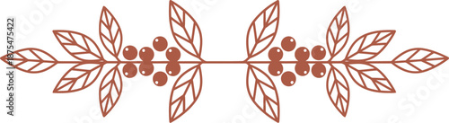 Delicate coffee branch vector illustration with leaf and berry element for cafe decoration, natural product design, or menu header