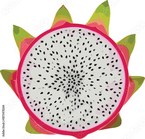 Dragon fruit cross section illustration isolated on white background tropical pitaya slice vector style healthy exotic food concept design nutrition