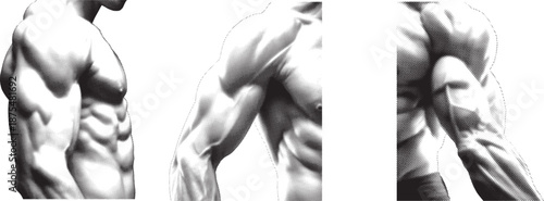 Athletic Male Torso and Muscle Anatomy in Halftone Dot Print Illustration