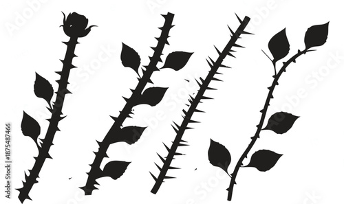 Black silhouette illustration of four thorny rose stems, each with sharp thorns.