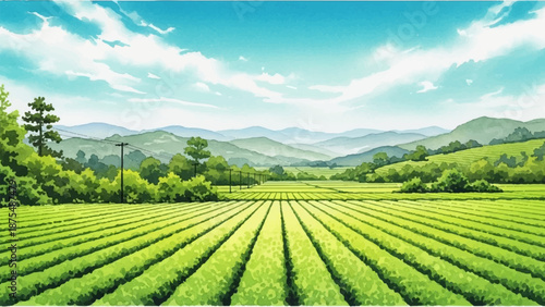 Serene Watercolor Landscape of Lush Green Tea Fields Under a Bright Blue Sky