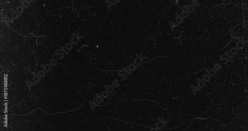 Dust and Scratches Overlay Video. High-quality 4K backgrounds are perfect for a variety of creative projects.