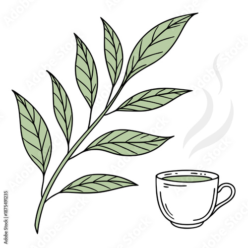 Minimalist Green Tea Cup with Fresh Leaves Illustration