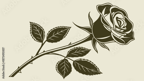Elegant rose with thorns and leaves on cream background