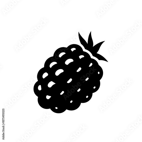 Single blackberry fruit isolated on white background, Vector