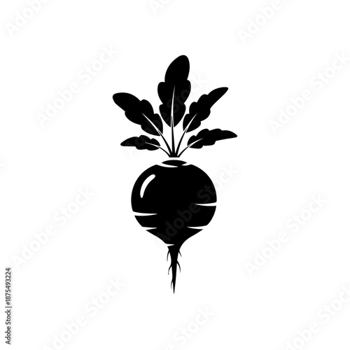 Illustration of a radish plant isolated on white background, Vector