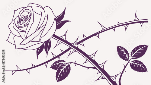 Elegant purple rose with thorns on stem and leaves