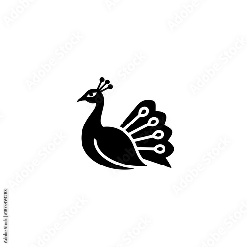 Black and white peacock isolated on white background, Vector