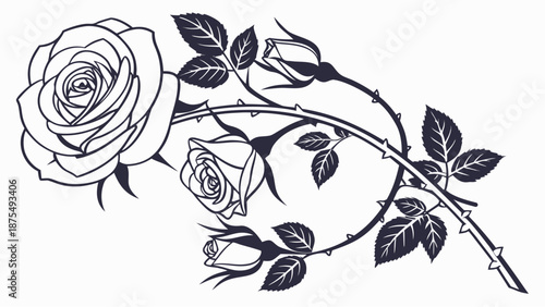 Elegant black and white rose illustration with thorns and leaves