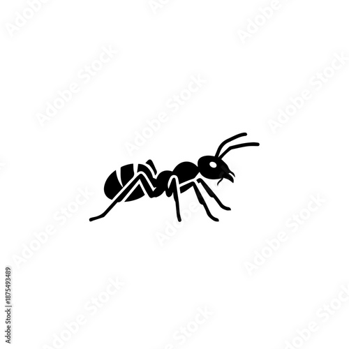 Single black ant on white background isolated on white background, Vector