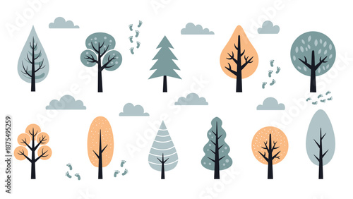 Stylized collection of various vector trees and forest elements including different species with clouds and animal tracks on white background.