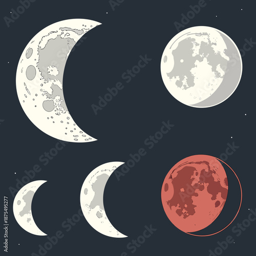 Moon Phases Cycle: New Moon to Full Moon - Vector Graphic