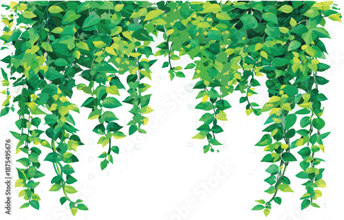 "Lush arrangement of cascading green foliage with diverse leafy vines in varying shapes and shades of green, forming a dense and vibrant botanical display ideal for garden, patio, or indoor decor."